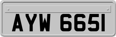 AYW6651