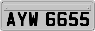 AYW6655