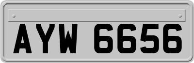 AYW6656
