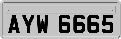 AYW6665