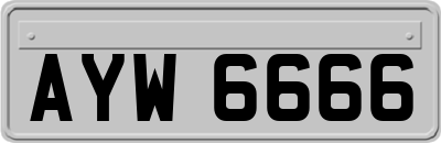 AYW6666