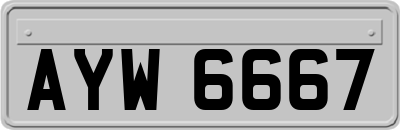 AYW6667