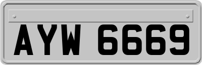 AYW6669