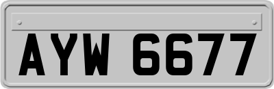 AYW6677