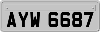 AYW6687
