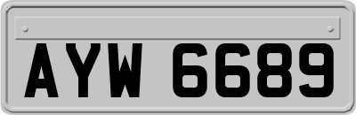 AYW6689