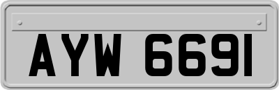 AYW6691