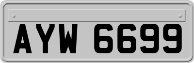AYW6699