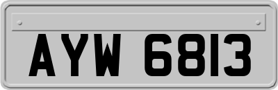 AYW6813