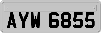 AYW6855