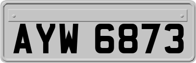 AYW6873
