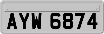 AYW6874