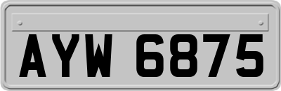 AYW6875