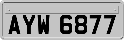 AYW6877