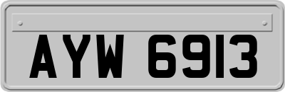 AYW6913