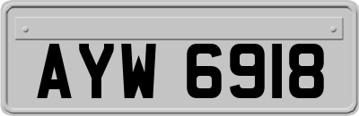 AYW6918