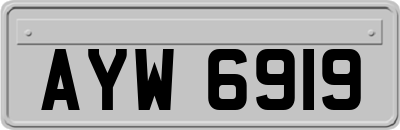 AYW6919