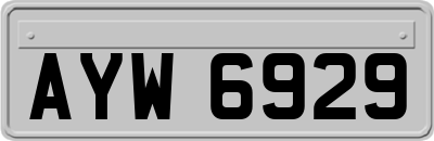 AYW6929