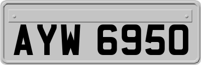 AYW6950
