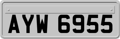 AYW6955