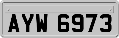 AYW6973