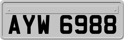 AYW6988