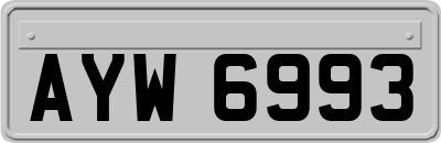 AYW6993
