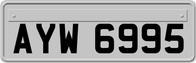AYW6995
