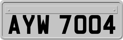 AYW7004