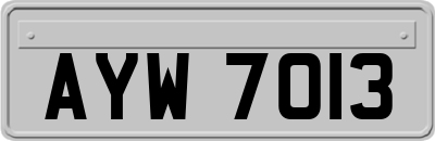 AYW7013