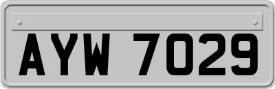 AYW7029