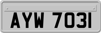AYW7031
