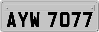 AYW7077