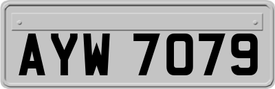 AYW7079