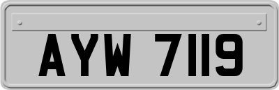 AYW7119
