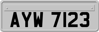 AYW7123
