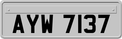AYW7137