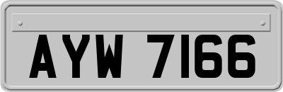 AYW7166