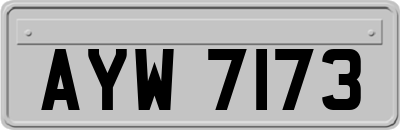 AYW7173