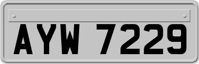 AYW7229