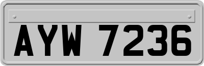 AYW7236