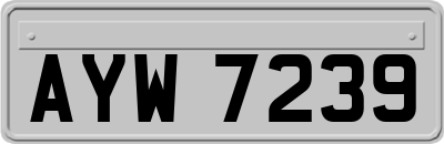AYW7239
