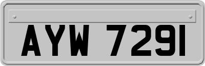 AYW7291