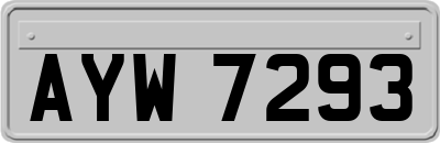 AYW7293