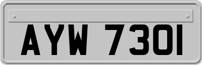 AYW7301