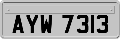 AYW7313
