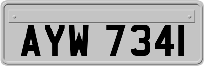 AYW7341