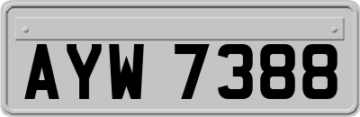 AYW7388