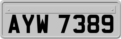 AYW7389