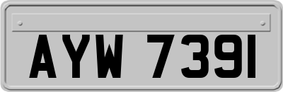 AYW7391